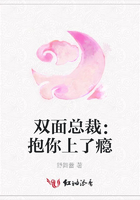 雙面總裁：抱你上了癮在線閱讀