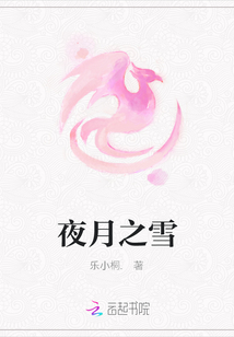 夜月之雪