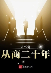 从商二十年 封面