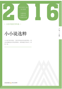 2016年小小說選粹