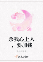 殺我心上人，要加錢在線閱讀