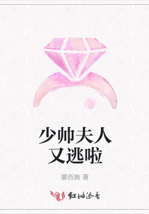 少帅夫人又逃啦