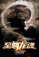 至尊龙魂在线阅读