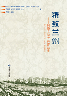 精致兰州：网络文学大赛作品集