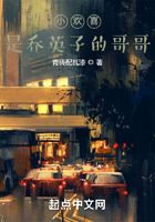 小欢喜:是乔英子的哥哥在线阅读