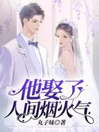 他娶了人間煙火氣在線閱讀