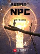 毕竟我只是个NPC