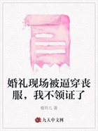 婚礼现场被逼穿丧服,我不领证了在线阅读
