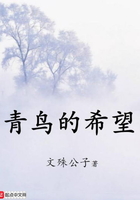 青鳥的希望在線閱讀