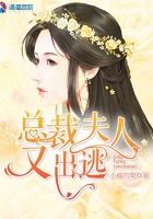总裁夫人又出逃在线阅读