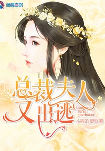 總裁夫人又出逃