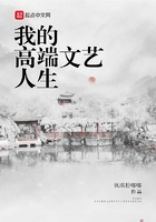 我的高端文艺人生在线阅读