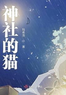 神社的貓