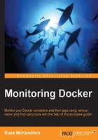 Monitoring Docker在线阅读