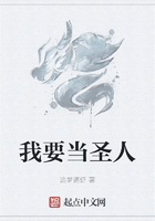 我要当圣人在线阅读
