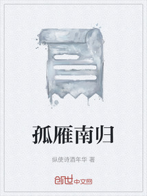孤雁南歸