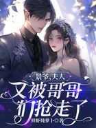 景爷,夫人又被哥哥们抢走了在线阅读