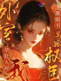 外室孕肚入府,我撕婚書另嫁權臣