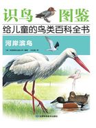 河岸滨鸟(识鸟图鉴:给儿童的鸟百科全书)在线阅读