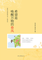 青春文学精品集萃丛书·希望系列:希望是唤醒万物的春风在线阅读