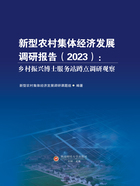 新型农村集体经济发展调研报告(2023):乡村振兴博士服务站蹲点调研观察在线阅读