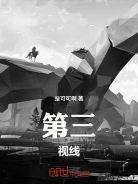 第三视线在线阅读