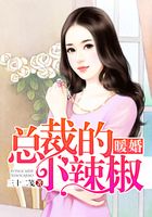暖婚：總裁的小辣椒在線閱讀