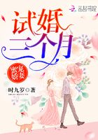 蜜寵嬌妻：試婚三個月在線閱讀
