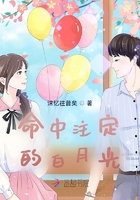 命中注定的白月光在线阅读