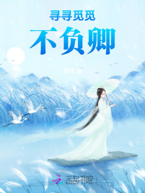 寻寻觅觅不负卿在线阅读