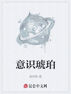 意识琥珀在线阅读