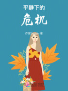 平静下的危机在线阅读