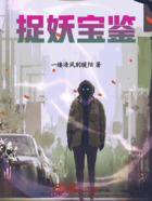 捉妖宝鉴在线阅读