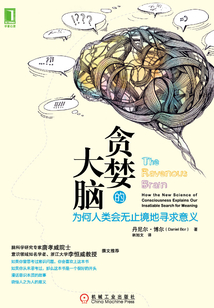 貪婪的大腦:為何人類會無止境地尋求意義