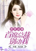 惹爱成婚:首席总裁别动我