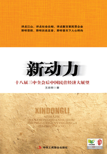 新動力:十八屆三中全會后中國民營經(jīng)濟大展