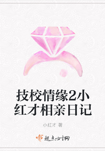 技校情缘2小红才相亲日记