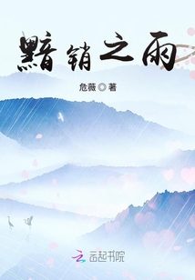 黯銷之雨