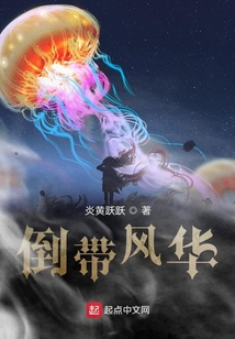 倒帶風華