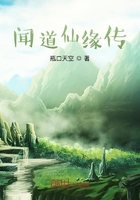 我的老婆是个坏人在线阅读