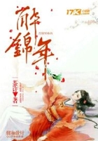 醉锦年在线阅读