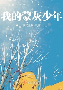 我的蒙灰少年