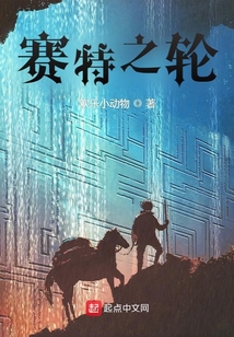賽特之輪