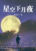 星空下月夜在线阅读