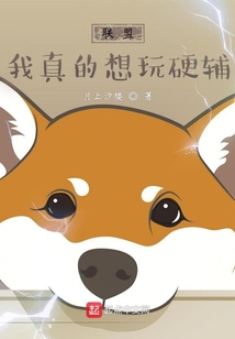 联盟:我真的想玩硬辅
