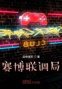 賽博聯調局