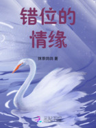 錯位的情緣在線閱讀