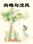 向晚与沈风在线阅读