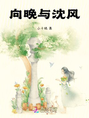 向晚与沈风在线阅读