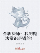 全职法师:我的魔法常识是错的!在线阅读